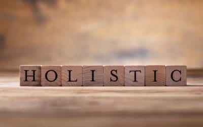 The Holistic Triangle: Chiropractic, Nutrition, and Exercise